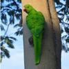 Wall-Mounted Parrot on Tree: Hanging Tree Ornament Bird Model