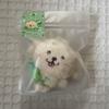 [USED] NCT WISH DOLL JAEHEE Plush Toy - Dent River