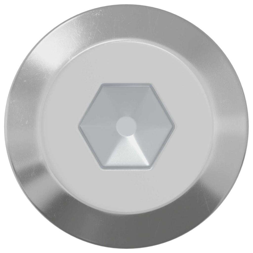 Screw 12 Pcs Silver M6 X 60 Mm Steel