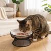 Rutschfeste Keramik-Katzennapf Kein Überlaufen Hundewassernapf Flache Breite Schale Haustierfutterspender Kätzchen-Schalen