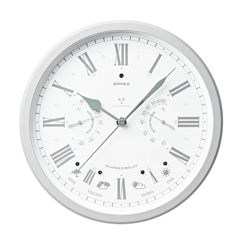 

EMPEX Weather Instruments Weatherpal Radio Clock BW-861