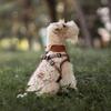 Winter Hundejacke mit Geschirr Wasserabweisend Verdickt Winddicht Weste für Kleine Hunde Pfotenabdruck Reflektierend Warm Hundekleidung