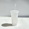 5pcs 24oz plastic cups with lids&straw reusable water bottle party cold cups Hard Plastic Cup Wedding Party Summer Drinkware