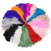 Strusie Pióra 60-65Cm Importowane z Afryki Południowej Akcesoria do Biżuterii Piórowej Moda Popularne Ozdoby Dekoracyjne Puch Bawełna