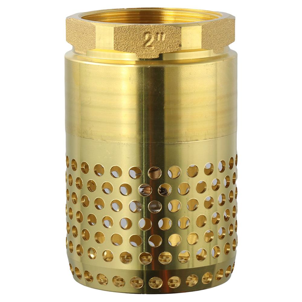 

Латунный сетчатый обратный клапан Золотой односторонний клапан Обратный клапан Масло Вода Газ