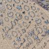 Elegant Silver Butterfly Frame Border Nail Art Stickers Hearts Stars Moon Feather Metal Self Adhesive Decoration Manicure Decal