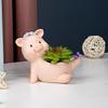 Cute Pig Resin Flower Pot Cartoon Animal Succulent Flower Pot Desktop Plants Pot Cactus Potted Home Decoration Ornaments Gift