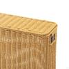 Imitation Rattan Basket Decorative Multifunction with Lid Hand Woven Sundries Container for