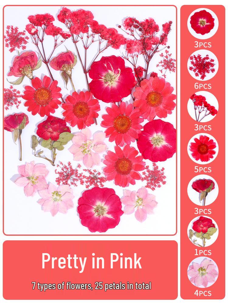 Creative DIY Bookmark Kit: Blank Cards with Embossed Dried Flowers and Leaves