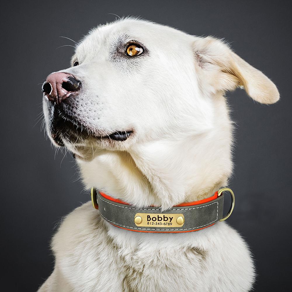 Individuelles Hundehalsband aus Leder, weich gepolstert, personalisierte Haustier-ID-Halskette, kostenlose Gravur mit Namenspfote für kleine und mittelgroße Hunde, Mops