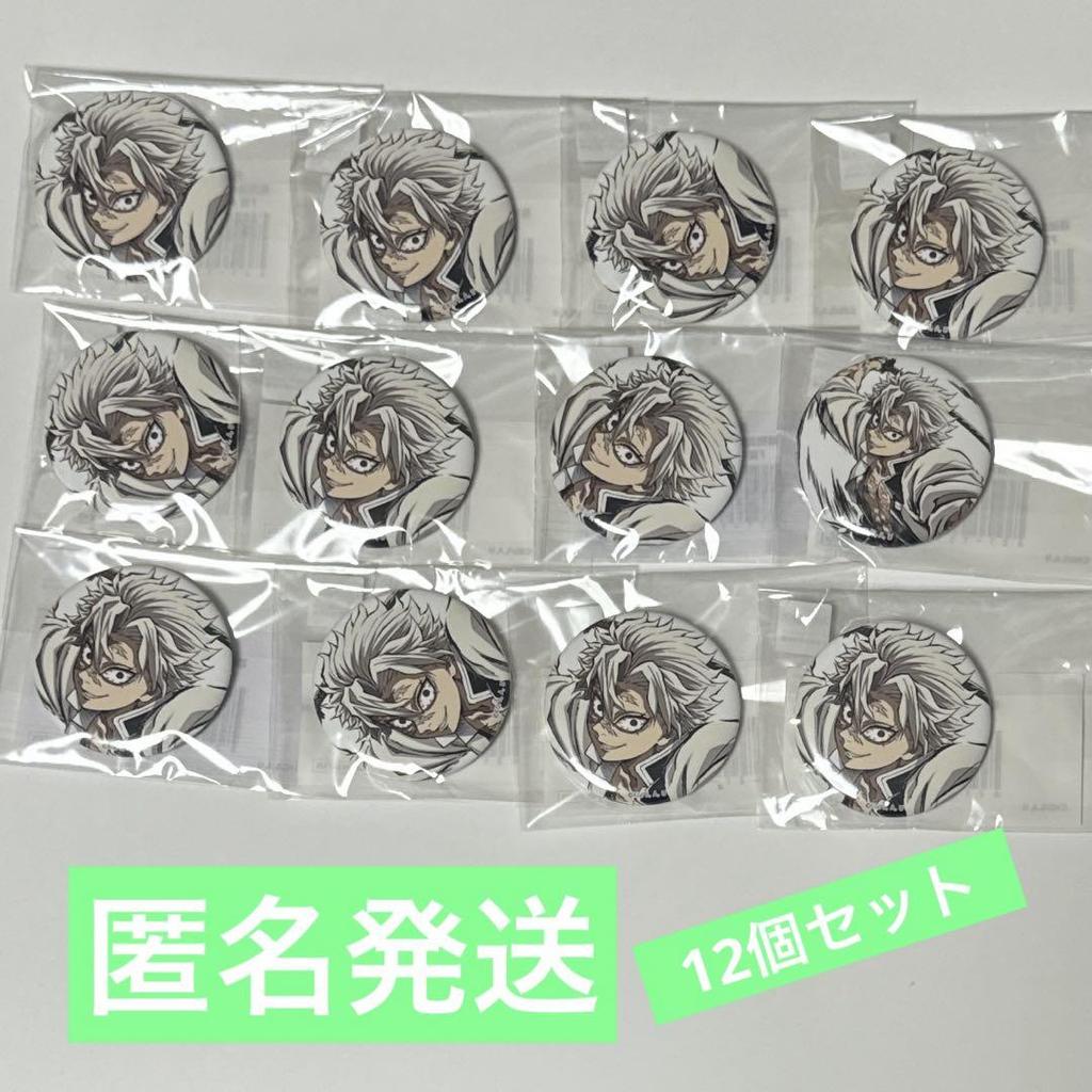 [USED] Demon Slayer: Kimetsu No Yaiba Comiket C105 WEBSHOP Lottery Shinazugawa Sanemi Can Badge Set of 12