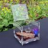 Clear Acrylic Reptile Feeding Box Stackable and Buckle Splicing Box for Scorpion Spider Frog