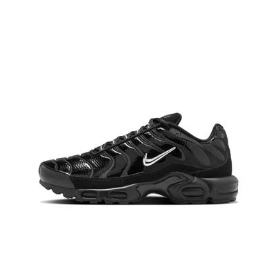 Air Max Plus Black Chrome