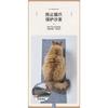 Multifunctional Self Adhesive Wear Resistant Cat Climbing Pad Cat Scratcher Wall Sticker