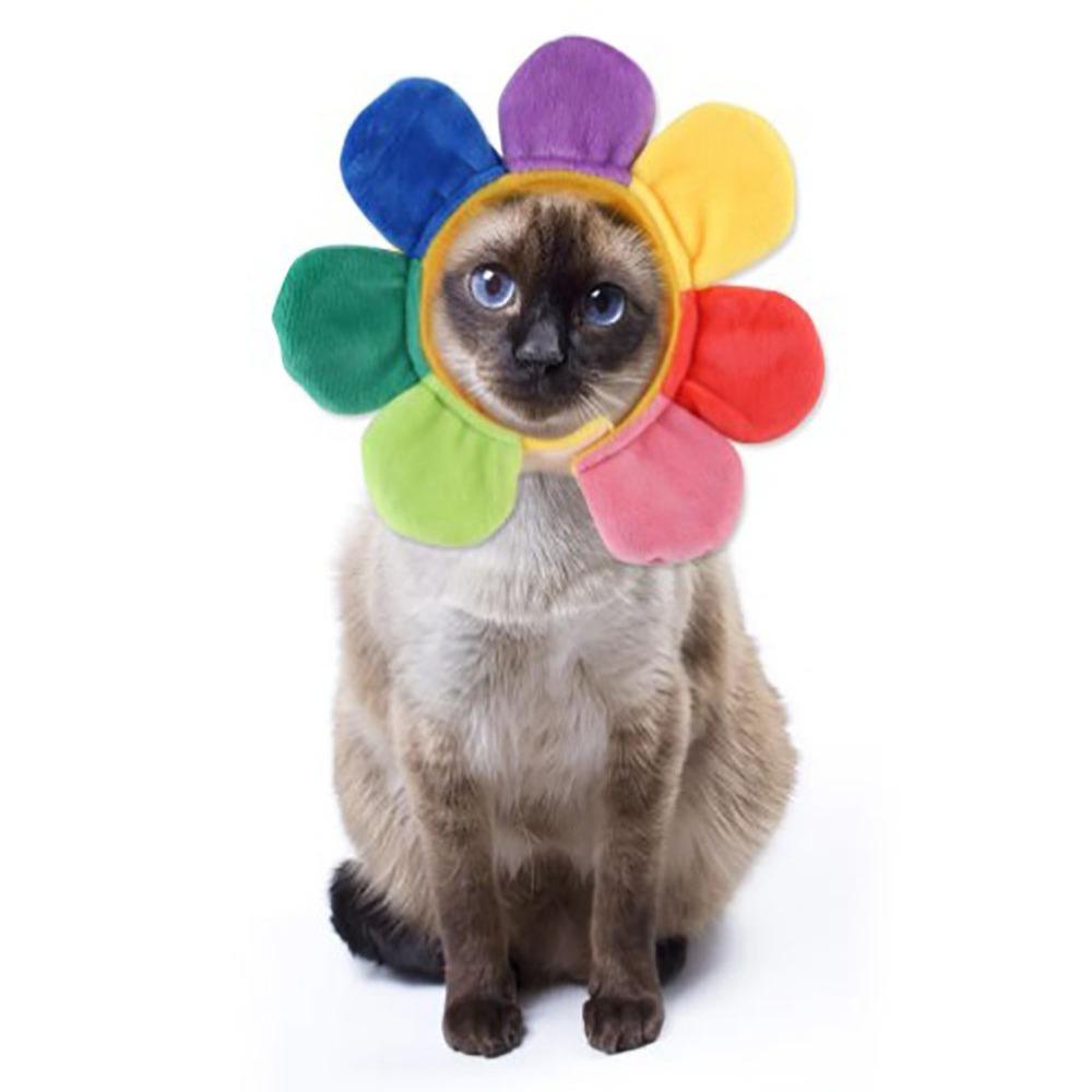 

Аксессуары для домашних животных, собак, кошек, шляпа, костюм, головной убор, плюшевый головной убор, милый кошачий головной убор, кошка