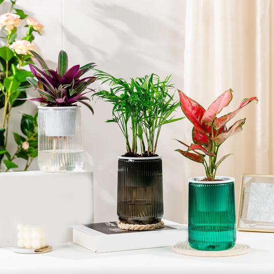 Self Watering Plant Pot Clear with Wick Ropes Plastic Flower Pot Water Reservoir Vertical Stripes Design