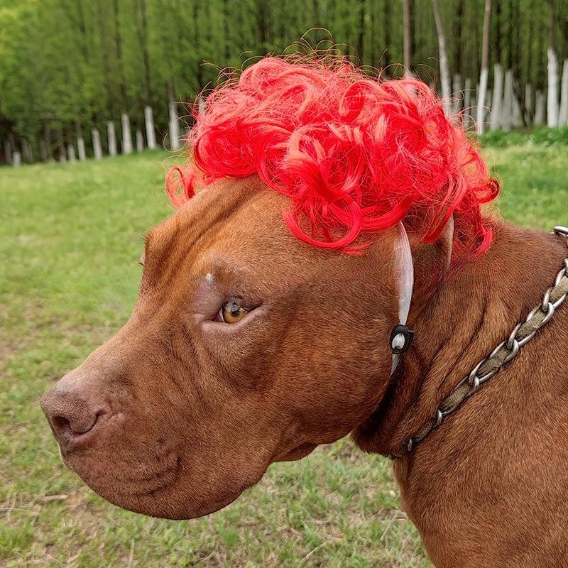 Halloween Weihnachten Haustier Perücke für Hunde Katzen Lockige Pony Afro Haare Party Kostüm Zubehör Hunde Zubehör Haustiere Acessorios
