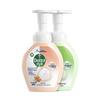 Dettol Foam Hand Wash Twin Pack (Grapefruit & Lime)