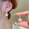 White pearl shell fringed earrings fashionable and elegant temperament earrings French light luxury high-end earrings women