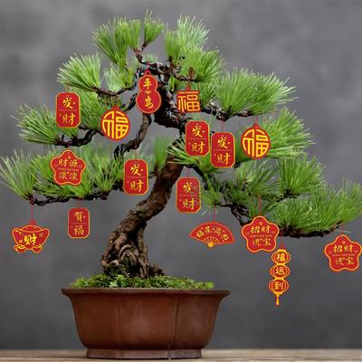 New Year'S Blessing Card Decoration Bronzing Blessing Bonsai Pendant Holiday Fortune Tree Copper Coin Arrangement Pendant
