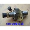 Air Cooled Diesel Engine Micro Tillage Machine Parts 170F 173F 178F 186F 186FA 188F 192F Fuel Injector Injection Pump Assembly