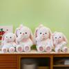 Toy Bunny Plush Cute Cartoon Butterfly Girl Children Birthday Holiday Doll Gift