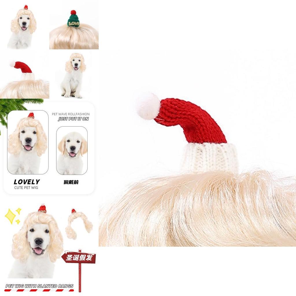 Einzigartige Hellgoldene Lange Wellige Haustierperücke Hut Für Hunde Und Katzen Perfekt Für Weihnachtsfeierlichkeiten