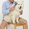Pet Detangling Rake with Rake Cat Dematting Comb Double-Sided Undercoat Brush Deshedding Brush