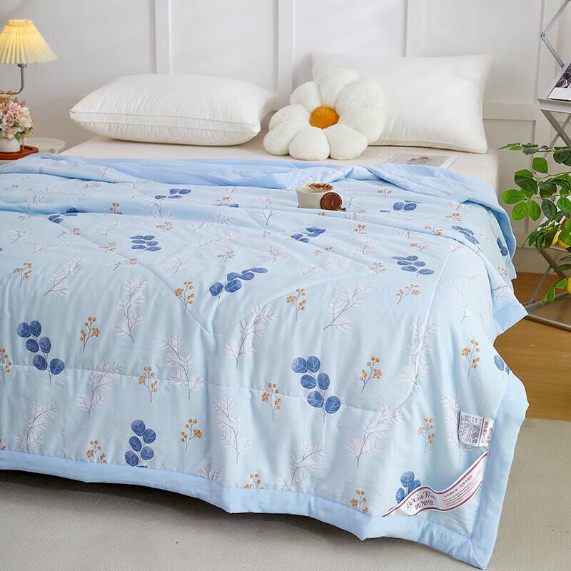 BGM Glutinous Cotton Antibacterial Skin-Care Quilt