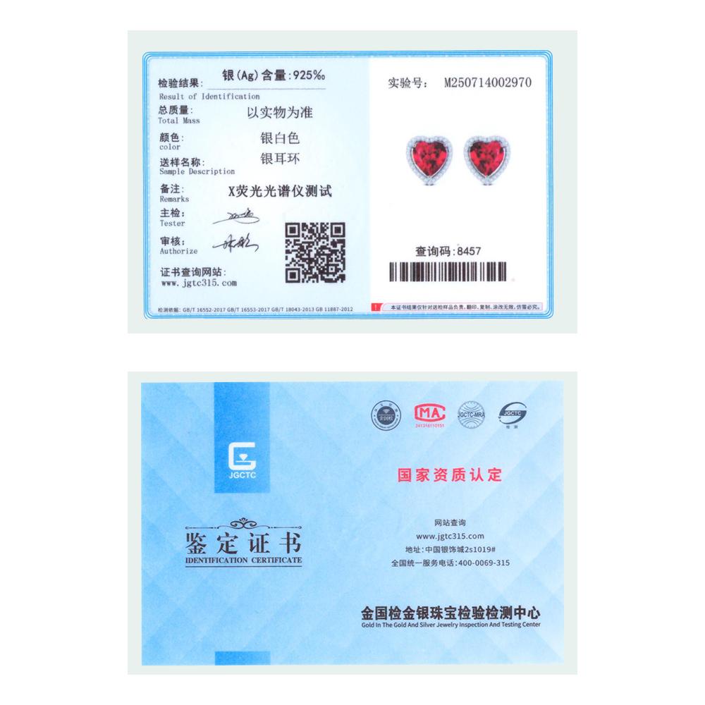 925 Silver Earrings Red Heart Diamond-studded Earrings Original Earring For Ladies Fashion Friend Party Daily Wear Gift