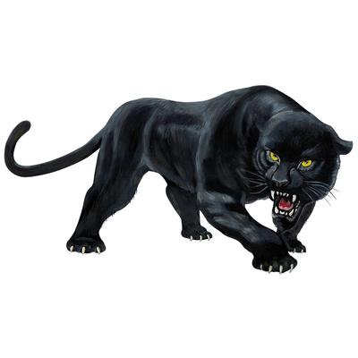 Autocolant Auto Animal Panteră Neagră Răcnind Colorat Amuzant și Decaluri Stil Auto PVC Detașabil Impermeabil Protecție Solară, 15cm*8cm