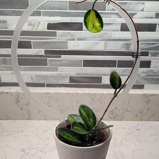 Plant Bracket Stand Transparent Weather-Resistant Structure Acrylic Garden Support Climbing Plant Growth Enhancer