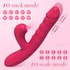 Sucking Dildo Thrusting Vibrator with Female Masturbation Clit Sucker Clitoris Vacuum Stimulator Adult Goods Sex Toys for Women