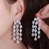 Boucles d'oreilles Zircon Aiguille Longue Goutte d'Eau Accessoires Robe de Banquet Défilé Boucles d'oreilles Boucles d'oreilles à Franges Nuptiales