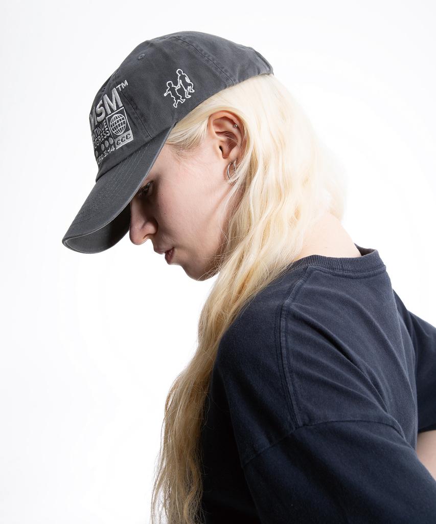 Peulaideihasdogeu System Ball Cap Gray