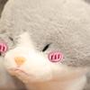50/70/90cm Kawaii Alien Cat Plush Toys Lovely Lying Cat Pillow with Shark's Tail Stuffed Soft Cushion Birthday Gift