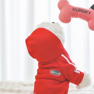 [Pet] Hooded Training Suit M Red
