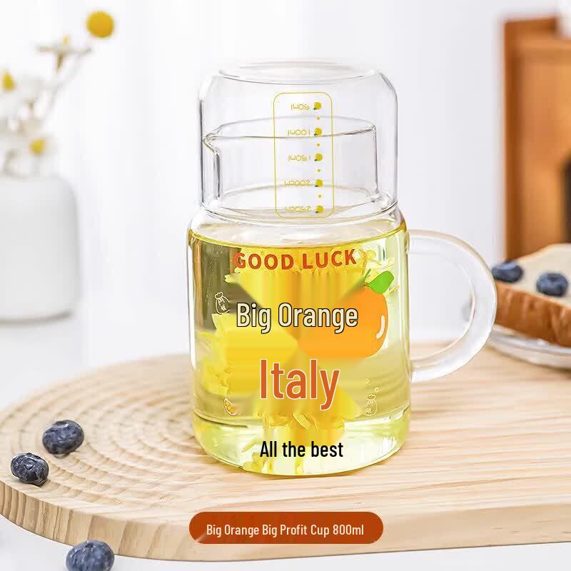 800ml High-Temperature Borosilicate Glass Tea Infuser Bottle