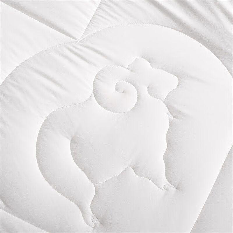 Mercury Home Textiles Antibacterial Australian Wool Quilt