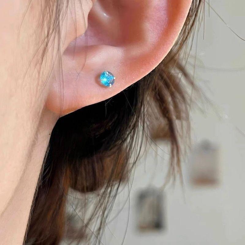 Women's High-End Plain Hoop Earrings: Light Luxury Ear Drops & Studs, Niche Design for Autumn/Winter.