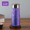Stylish Portable Tea Infuser Insulated Bottle