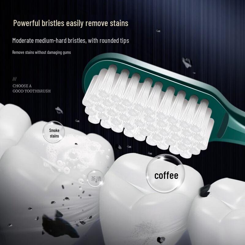 Hefengyu Medium-Hard Bristle Toothbrush Pack
