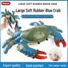 Children's Marine Animal Model - Blue Crab, Swimming Crab, Hairy Crab, Flower Crab Stress Relief Toy