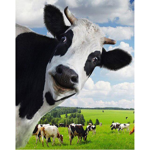 5D DIY pictură cu diamant vacă punct de cruce complet pătrat/rotund broderie diamant broderie animale stras imagini cadou de artizanat