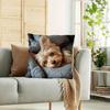 1Pc Comfortable Yorkie Themed Short Plush Pillowcase
