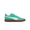 Puma Ascenso Trendy Comfortable Classic Low-Top Training Shoes Unisex sneaker Green White 405948-05
