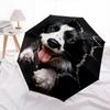 Dog- Automatic umbrella, Four Seasons Portable Folding Umbrella, Suitable for Men and Women, Travel, Daily Compact Umbrella, Outdoor Accesso