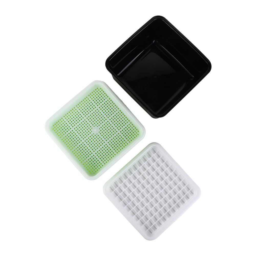 Uprawa Roślina Fasola Kiełki Taca Sadzonka Ogrodowe Artykuły Doniczka Do Sadzenia Kiełków Pudełko Do Sadzenia Kiełków