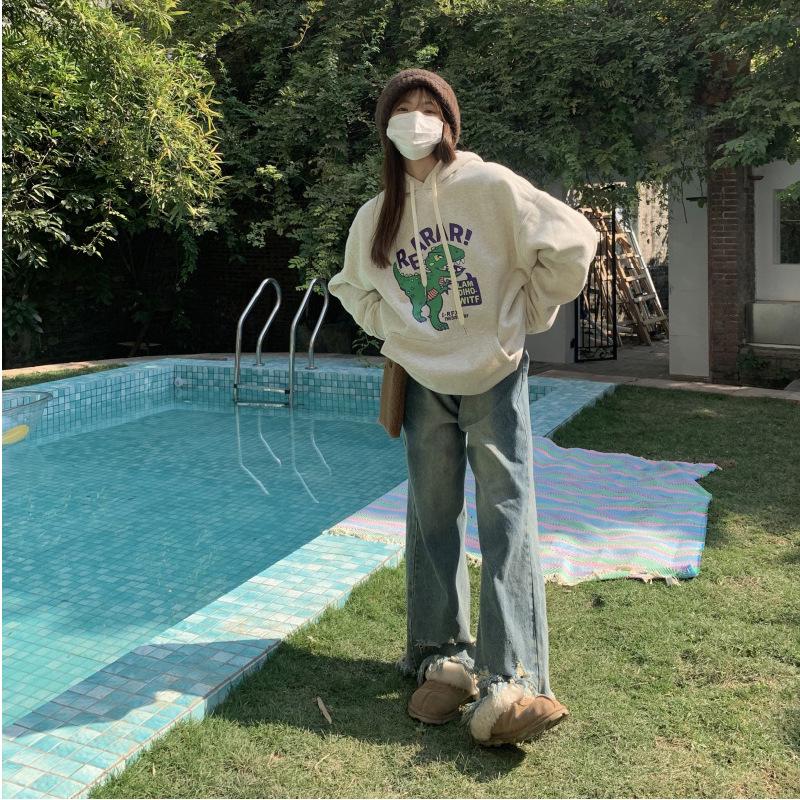 Women's Korean Style Plush Hooded Sweatshirt - Loose Fit for Autumn and Winter