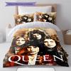 Queen Freddie Mercury Muster Bettwäsche, Steppbett Set Bettbezug Kissenbezug Zuhause Geburtstagsgeschenk (1 Bettbezug + 2 Kissenbezüge, ohne Füllung)